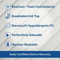 Sealy ProCool Mattress Pad