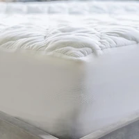 Sealy ComfortPlus+ Mattress Pad