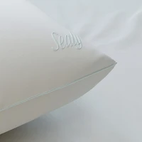 Sealy DreamTouch Medium Support Pillow