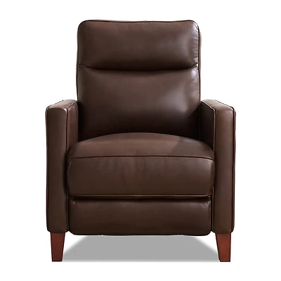 Ashby Upholstered Motion Recliner