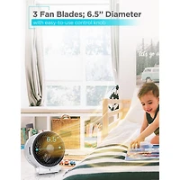 Black+Decker Dual Function Desktop Fan & Bhd406w Heater