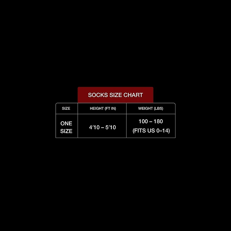 LECHERY Lustrous Sheer Socks 2 Pairs Womens Multi-Pack Trouser Socks