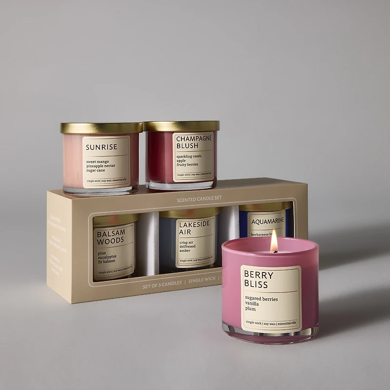 Distant Lands 4oz Fruity 3-pc. Jar Candle
