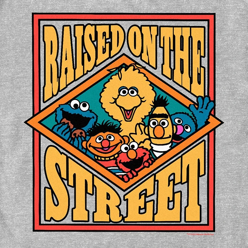 Mens Short Sleeve Sesame Street Graphic T-Shirt