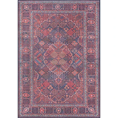 Momeni Afshar 10 Indoor Rectangular Accent Rug