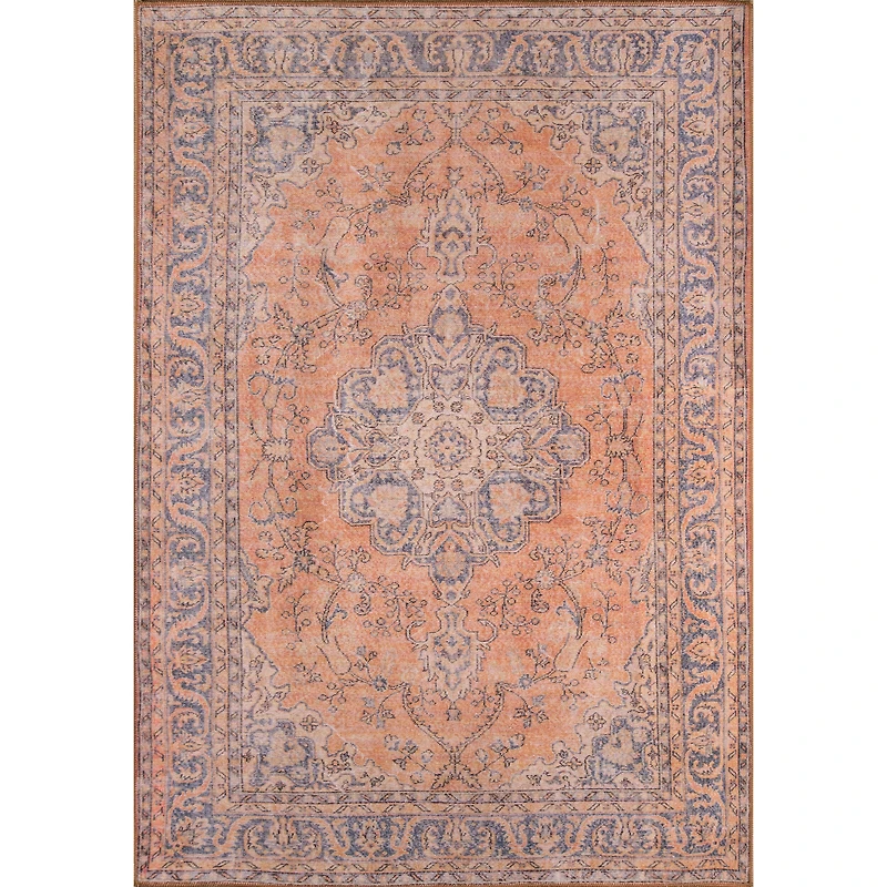 Momeni Afshar 11 Medallion Indoor Rectangular Accent Rug