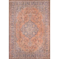 Momeni Afshar 11 Medallion Indoor Rectangular Accent Rug