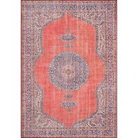 Momeni Afshar 12 Medallion Indoor Rectangular Accent Rug