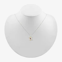 Turtle Womens Genuine Purple Amethyst 10K Gold Sterling Silver 18 Inch Pendant Necklace