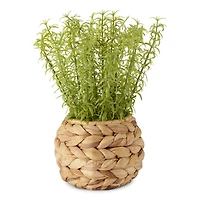 Linden Street 10" Potted Water Hyacinth Artificial Plant