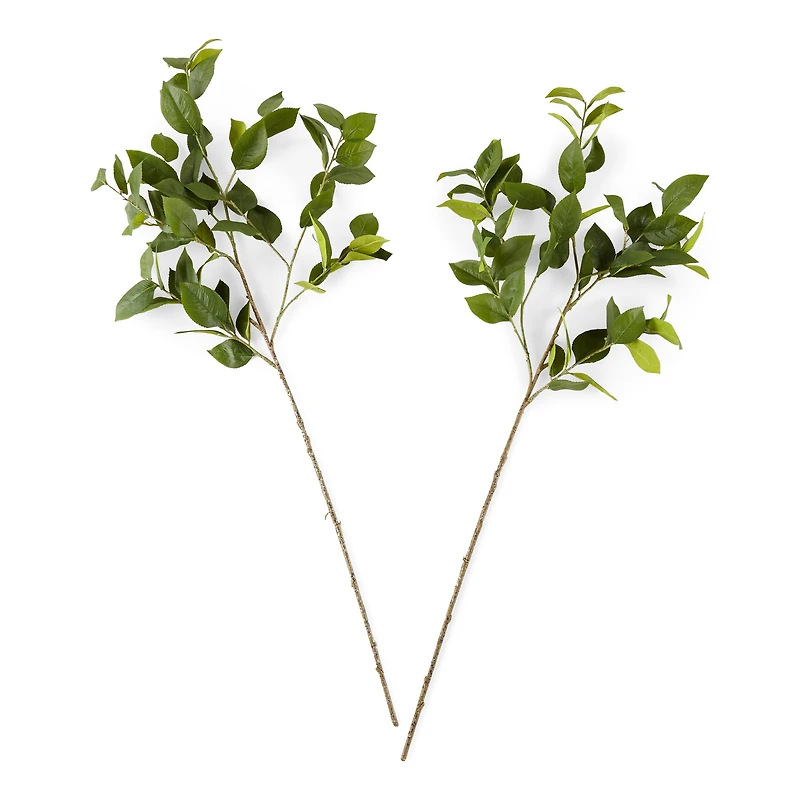 Linden Street 40" Lemmon Leaf 2-pc. Vase Filler