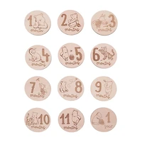 Disney Unisex Baby Milestones