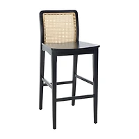 Safavieh Benicio 2-pc. Bar Stool
