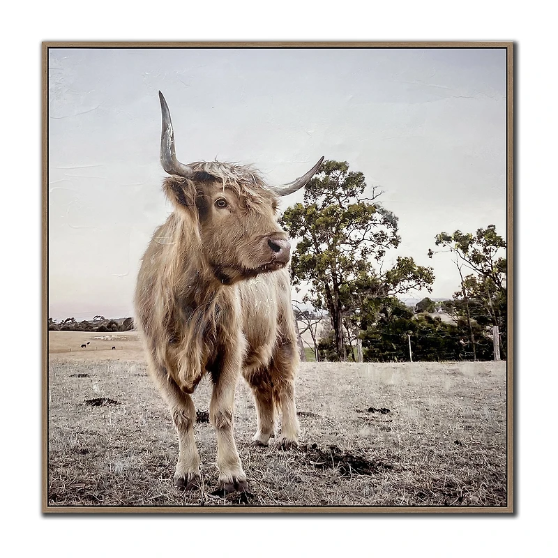 Streamline Art Countryside Highland Framed Canvas Art