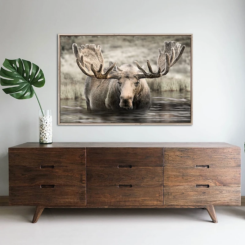 Streamline Art Moose Hot Springs Framed Canvas Art