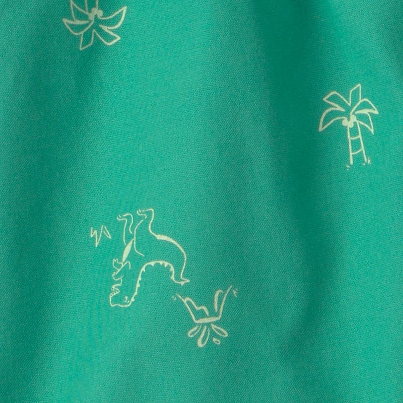Carter's Dinosaur Toddler Boys Short Set