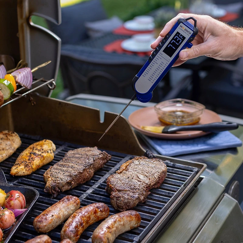 MAVERICK® Thermocouple Thermometers