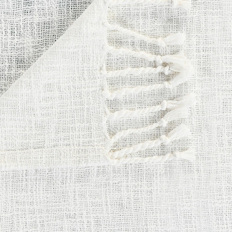 LR Home Thomas Ombre Throw