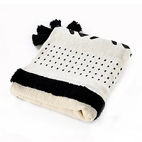 LR Home James Stripe Throw