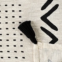 LR Home James Stripe Throw