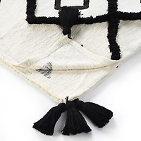 LR Home Ethan Modern Throw