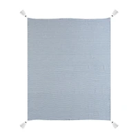 LR Home Ivanna Stripe Throw