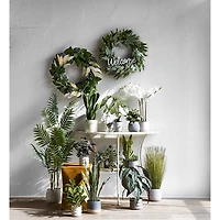 Linden Street 16.5in White Philodendron Artificial Plant