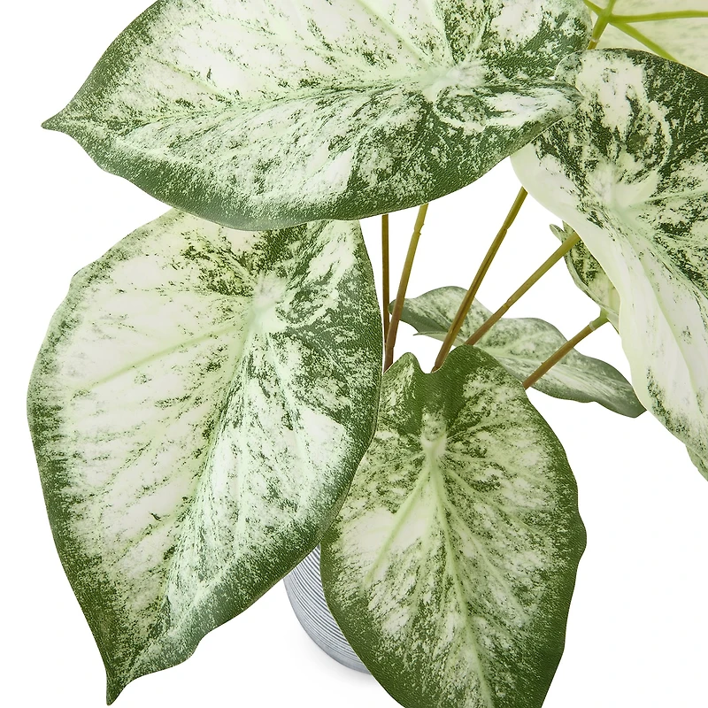 Linden Street 16.5in White Philodendron Artificial Plant