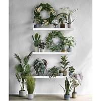 Linden Street 12in Snake Artificial Plant