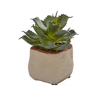 Mixed Succulent Artificial Plant (Set of 4)