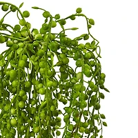 Senecio Artificial Succulent Plant; Set of 3