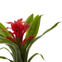 10” Bromeliad Artificial Flower Stem; Set of 6