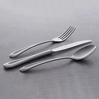 Oneida® Satin Sand Dune 45-pc. Flatware Set