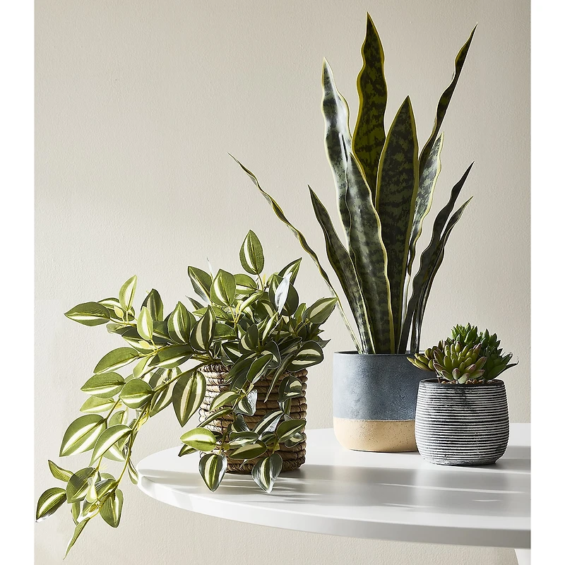 Linden Street 8in Tradescantia Trailing Artificial Plant
