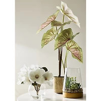 Linden Street 16.5in White Philodendron Artificial Plant
