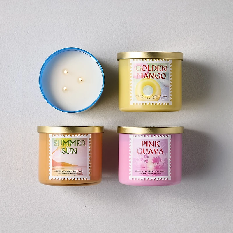 Distant Lands 14oz Pink Guava 3-Wick Scented Jar Candle