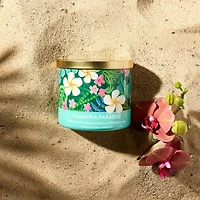 Distant Lands 14oz Plumeria Paradise 3-Wick Scented Jar Candle