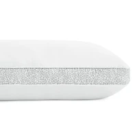Laura Ashley 2 Pack Medium Density Bed Pillow