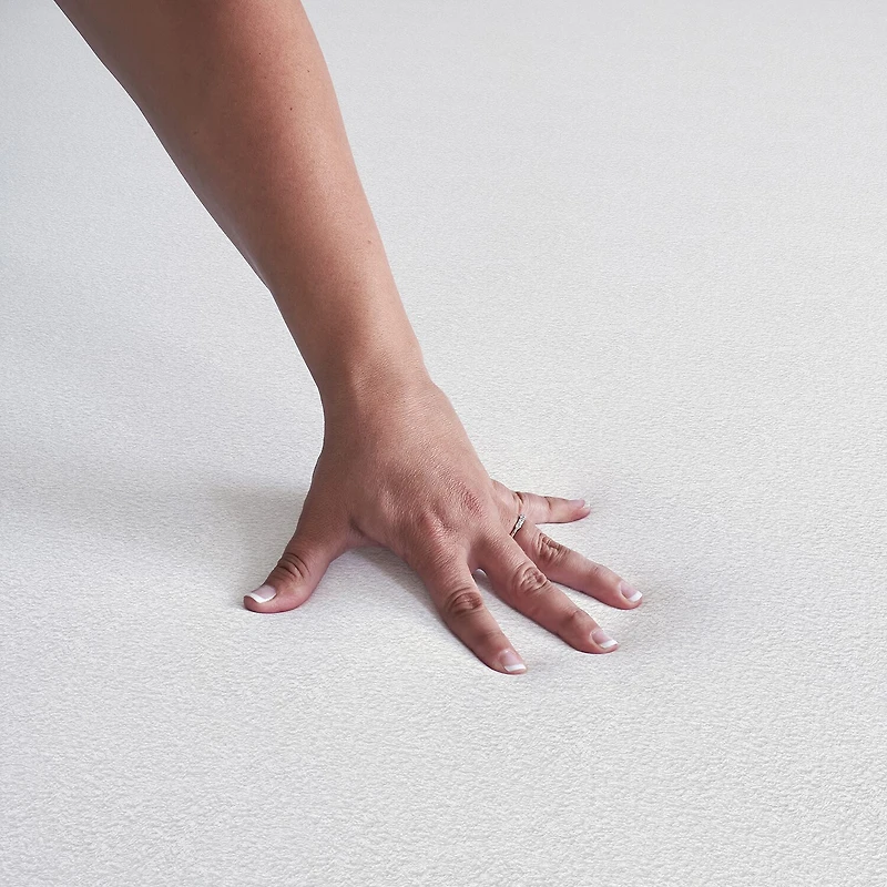 Sealy SoftComfort Mattress Protector