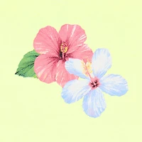 Grayson Threads