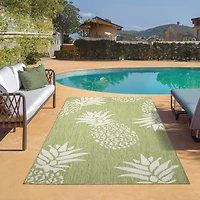 Catherine Pineapples Indoor Outdoor Rectangular Area Rug