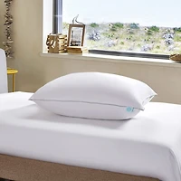 Martha Stewart 600 Fill Power Down Pillow