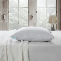 Martha Stewart Down 2 Pack Medium/Firm Bed Pillow