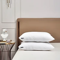Farm To Home Organic Blended Down Alternative 2 Pack Medium Density Bed Pillow