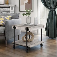 Furniture of America™ Tempe Storage End Table