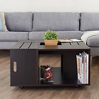 Furniture of America™ Beville Storage Coffee Table