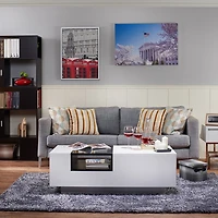 Furniture of America™ Auburn Glass Top Storage Coffee Table
