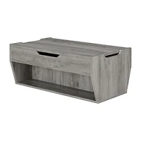 Furniture of America™ Abington Lift-Top Storage Coffee Table