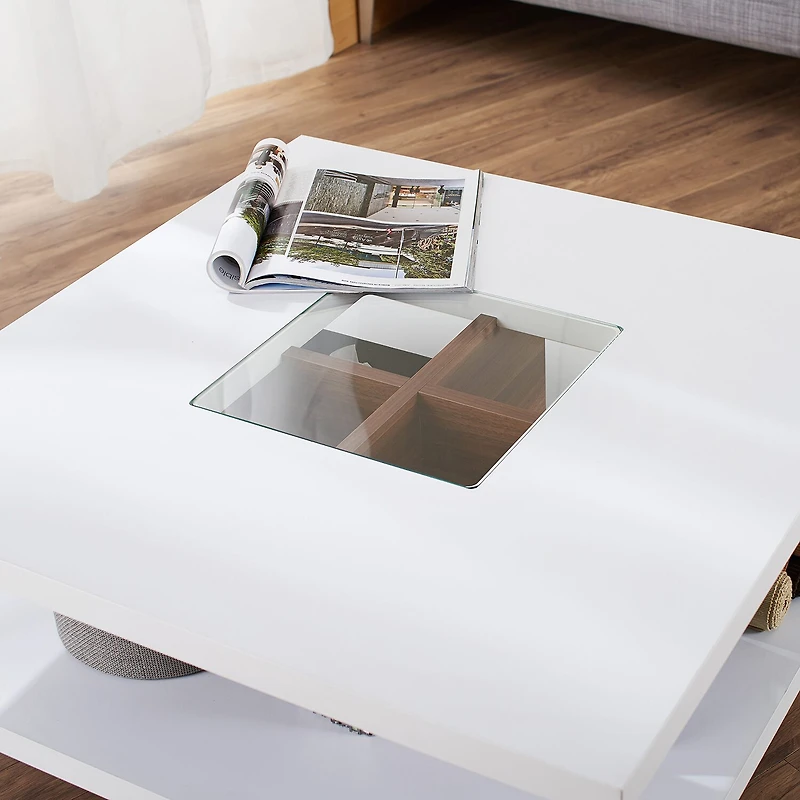 Furniture of America™ Willa Storage Coffee Table