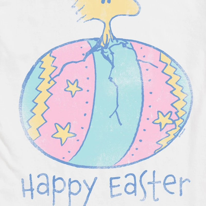 Novelty Mens Crew Neck Short Sleeve Regular Fit Peanuts Graphic T-Shirt